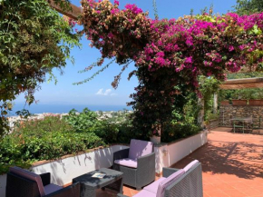 Casa Blu